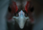 Weitere Bilder aus dem Themenbereich Besonderes