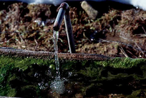 Ein Brunnen im Lecknertal